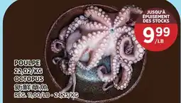 Kim Phat OCTOPUS offer