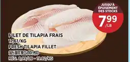 Kim Phat FRESH TILAPIA FILLET offer