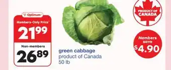 Wholesale Club Green Cabbage offer
