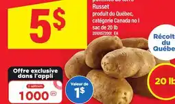 Maxi POMMES DE TERRE Russet, SAC DE 20 LB offer