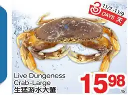 T&T Supermarket LIVE DUNGENESS CRAB-LARGE offer