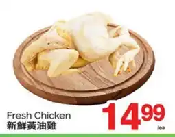 T&T Supermarket FRESH CHICKEN offer