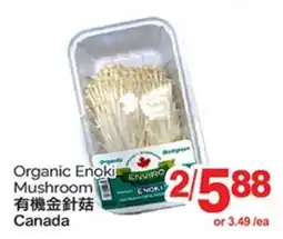 T&T Supermarket ORGANIC ENOKI MUSHROOM offer