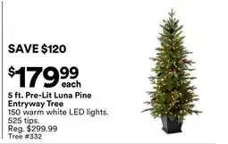 Michaels 5 ft. Pre-Lit Luna Pine entryway Tree offer