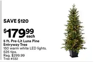 Michaels 5 ft. Pre-Lit Luna Pine entryway Tree offer