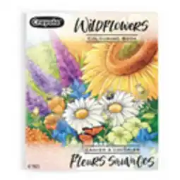Staples Crayola Wildflower Adult Colouring Book offer