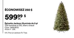 Michaels Épinette Jackson illuminée de 9 pi offer