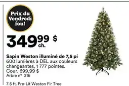 Michaels Sapin Weston illuminé de 7,5 pi offer