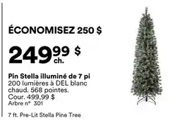 Michaels Pin Stella illuminé de 7 pi offer