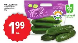 Metro MINI CUCUMBERS offer