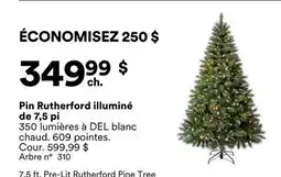 Michaels Pin Rutherford illuminé de 7,5 pi offer