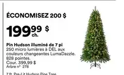 Michaels Pin Hudson illuminé de 7 pi offer