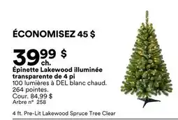 Michaels Épinette Lakewood illuminée transparente de 4 pi offer