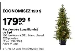 Michaels Pin d'entrée Luna illuminé de 5 pi offer