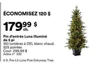 Michaels Pin d'entrée Luna illuminé de 5 pi offer