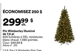 Michaels Pin Wimberley illuminé de 7,5 pi offer