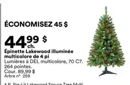 Michaels Épinette Lakewood illuminée multicolore de 4 pi offer
