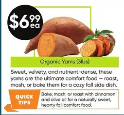 Healthy Planet Organic Yams (3lbs) offer