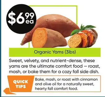 Healthy Planet Organic Yams (3lbs) offer