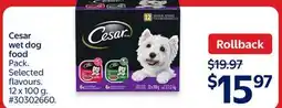 Walmart Cesar wet dog food offer