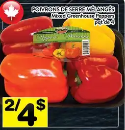Supermarché PA POIVRONS DE SERRE MÉLANGÉS | Mixed Greenhouse Peppers offer