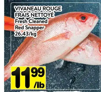 Supermarché PA VIVANEAU ROUGE FRAIS NETTOYÉ | Fresh Cleaned Red Snapper offer