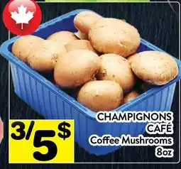 Supermarché PA CHAMPIGNONS CAFÉ | Coffee Mushrooms offer