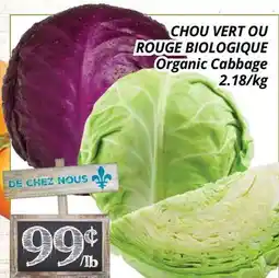 Supermarché PA CHOU VERT OU ROUGE BIOLOGIQUE | Organic Cabbage offer