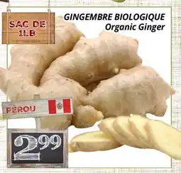 Supermarché PA GINGEMBRE BIOLOGIQUE | Organic Ginger offer