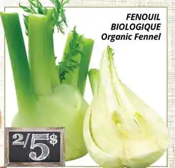 Supermarché PA FENOUIL BIOLOGIQUE | Organic Fennel offer