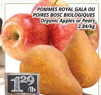 Supermarché PA POMMES ROYAL GALA OU POIRES BOSC BIOLOGIQUES | Organic Apples or Pears offer