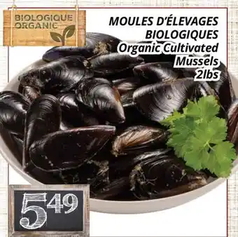 Supermarché PA MOULES D'ÉLEVAGES BIOLOGIQUES | Organic Cultivated Mussels offer