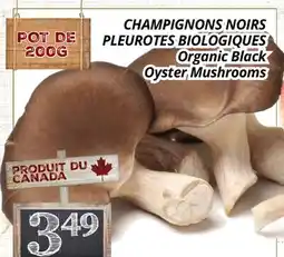 Supermarché PA CHAMPIGNONS NOIRS PLEUROTES BIOLOGIQUES | Organic Black Oyster Mushrooms offer