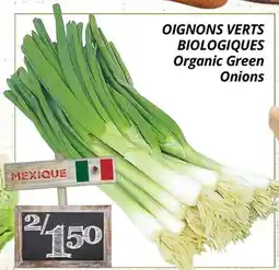 Supermarché PA OIGNONS VERTS BIOLOGIQUES | Organic Green Onions offer