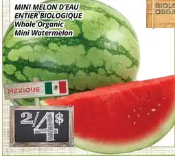 Supermarché PA MINI MELON D'EAU ENTIER BIOLOGIQUE | Whole Organic Mini Watermelon offer