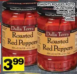 Supermarché PA PIMENTS ROUGES RÔTIS DALLA TERRA | Roasted Red Peppers offer
