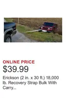 Costco Erickson (2 in. x 30 ft.) 18,000 lb. Recovery Strap Bulk With Carry Bag offer
