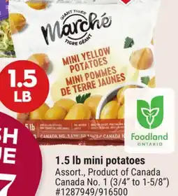 Giant Tiger mini potatoes offer