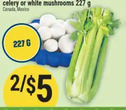Marché Adonis Celery or white mushrooms 227 g offer