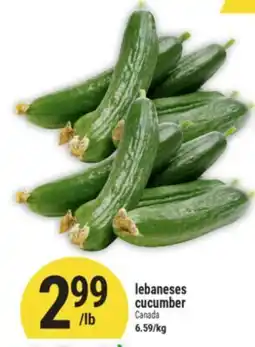 Marché Adonis Lebaneses cucumber offer