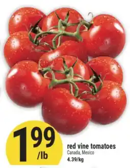 Marché Adonis Red vine tomatoes offer