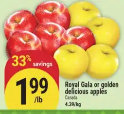 Marché Adonis Royal Gala or golden delicious apples offer