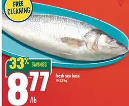 Marché Adonis Fresh sea bass offer