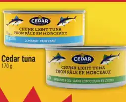 Marché Adonis Cedar tuna offer