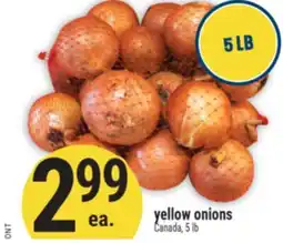 Marché Adonis Yellow onions offer