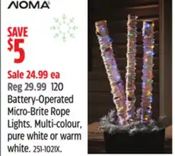 Canadian Tire Noma Battery-Operated Micro-Brite Rope Lights offer