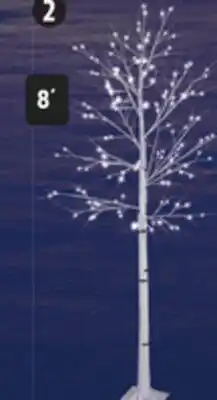 Canadian Tire CANVAS Lit Birch Tree offer