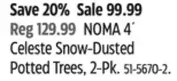 Canadian Tire NOMA 4´ Celeste Snow-Dusted Potted Trees, 2-Pk offer