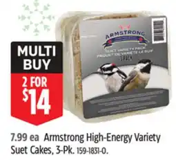 Canadian Tire Armstrong High-Energy Variety Suet Cakes offer