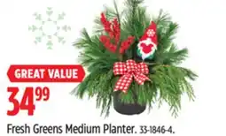 Canadian Tire Fresh Greens Medium Planter offer